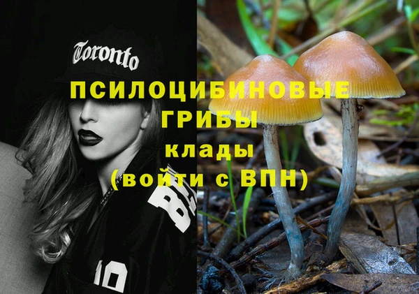тгк Абинск