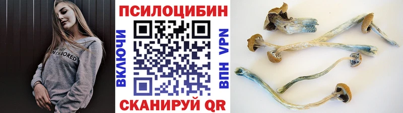Галлюциногенные грибы MAGIC MUSHROOMS Каменка
