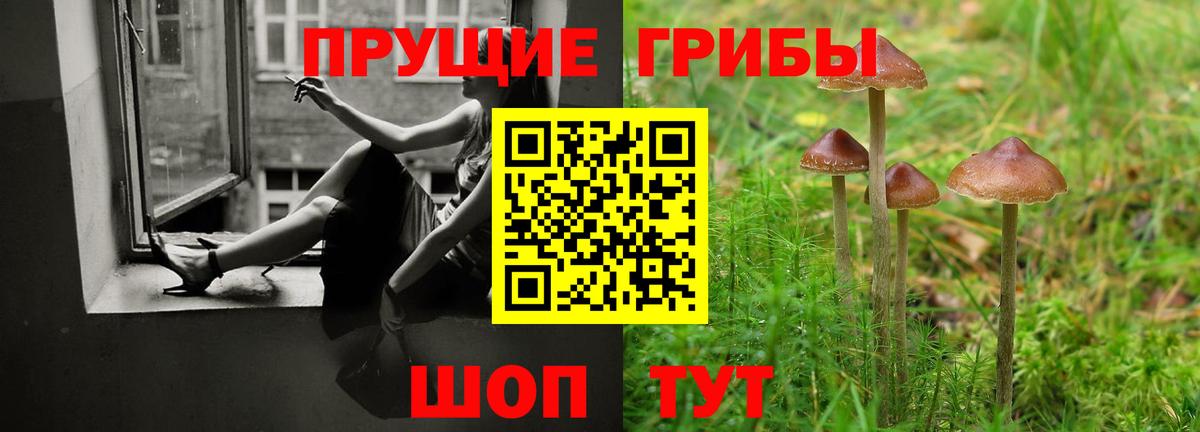Псилоцибиновые грибы Psilocybine cubensis Каменка