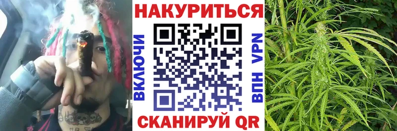 маркетплейс официальный сайт  купить   Каменка  Бошки марихуана OG Kush 